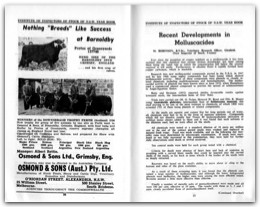 1954 Page 56 57